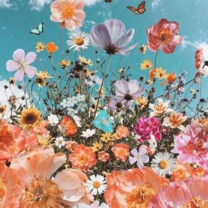 Meet your Posher, Wildflower